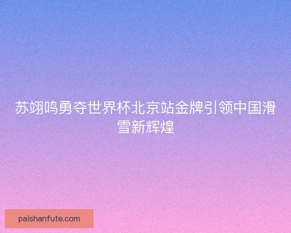 苏翊鸣勇夺世界杯北京站金牌引领中国滑雪新辉煌